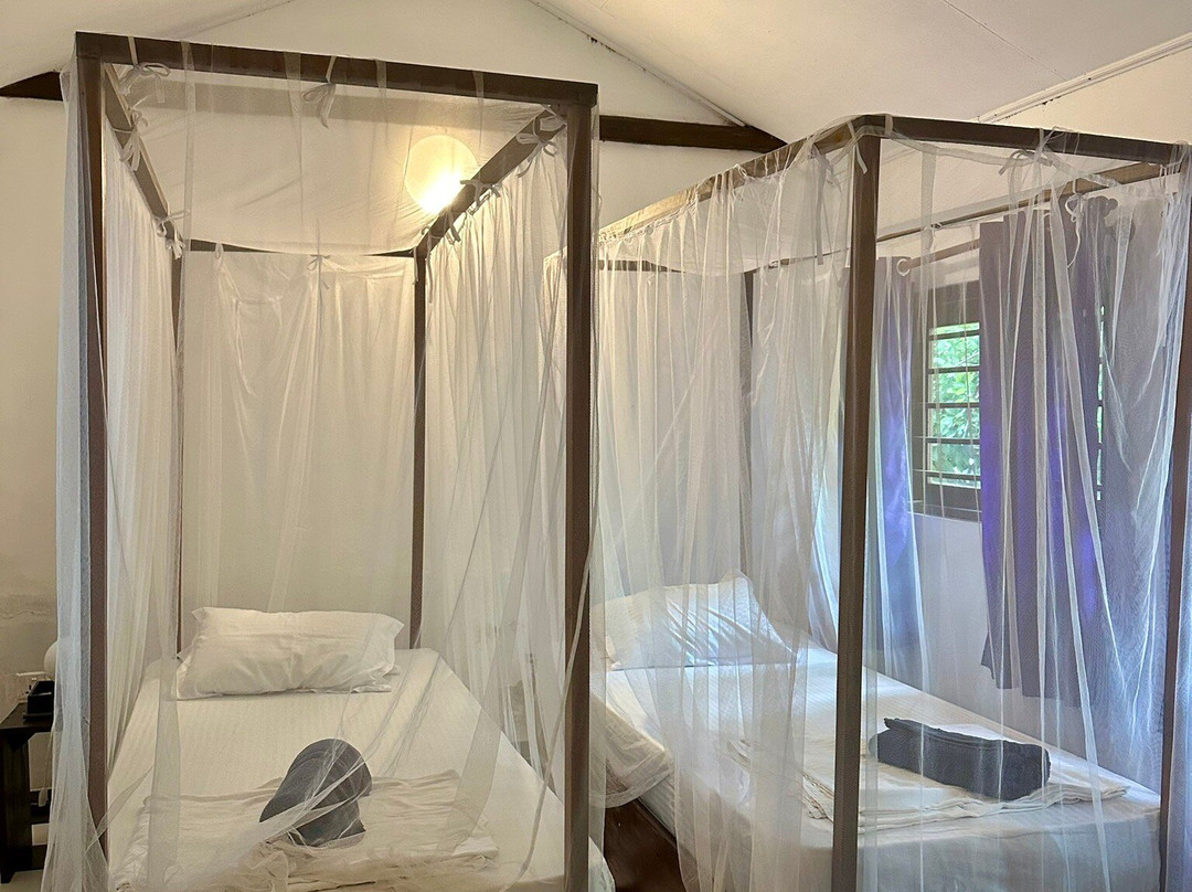 Turtle Eco Beach主图