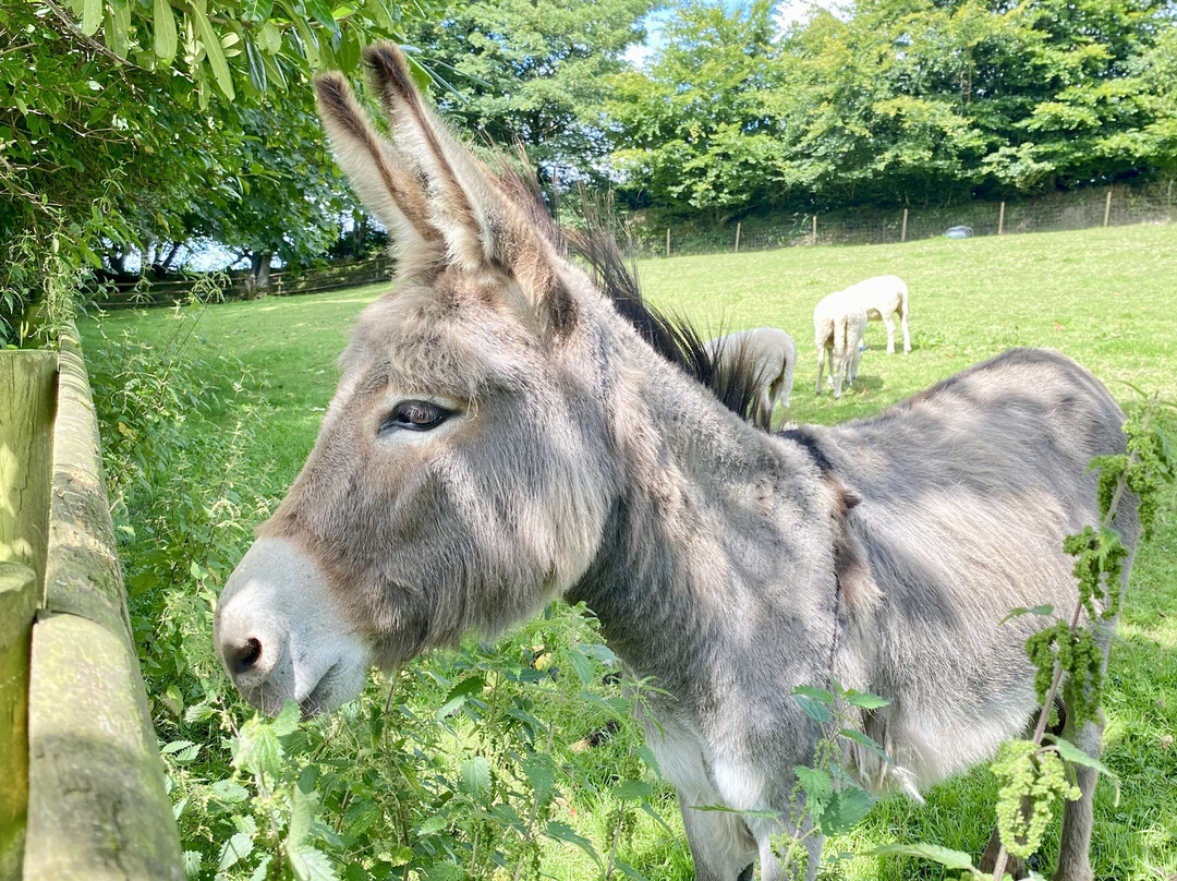 Beachborough Country House主图