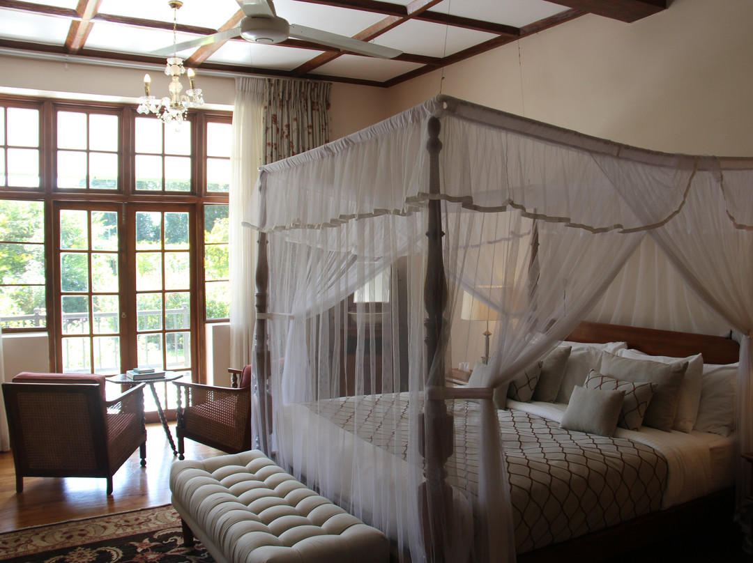 锡兰茶古道度假村主图