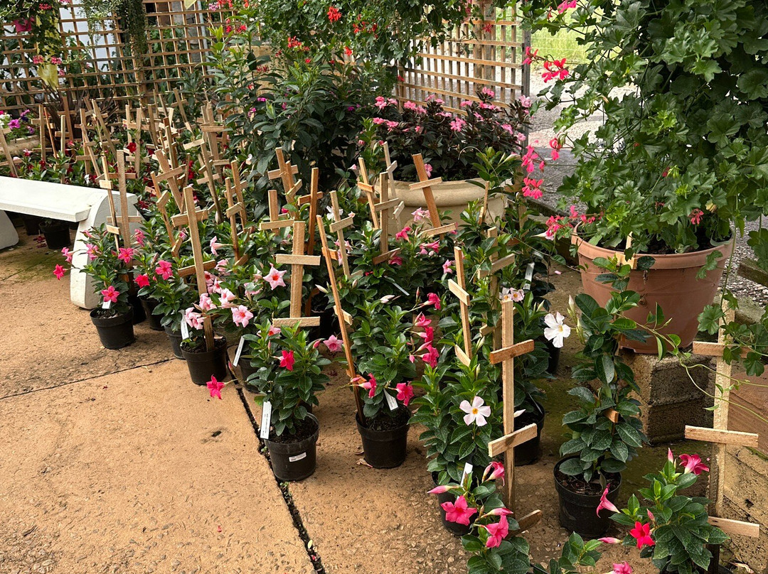 Floricultura Úrsula-Nova Petropolis必去景点