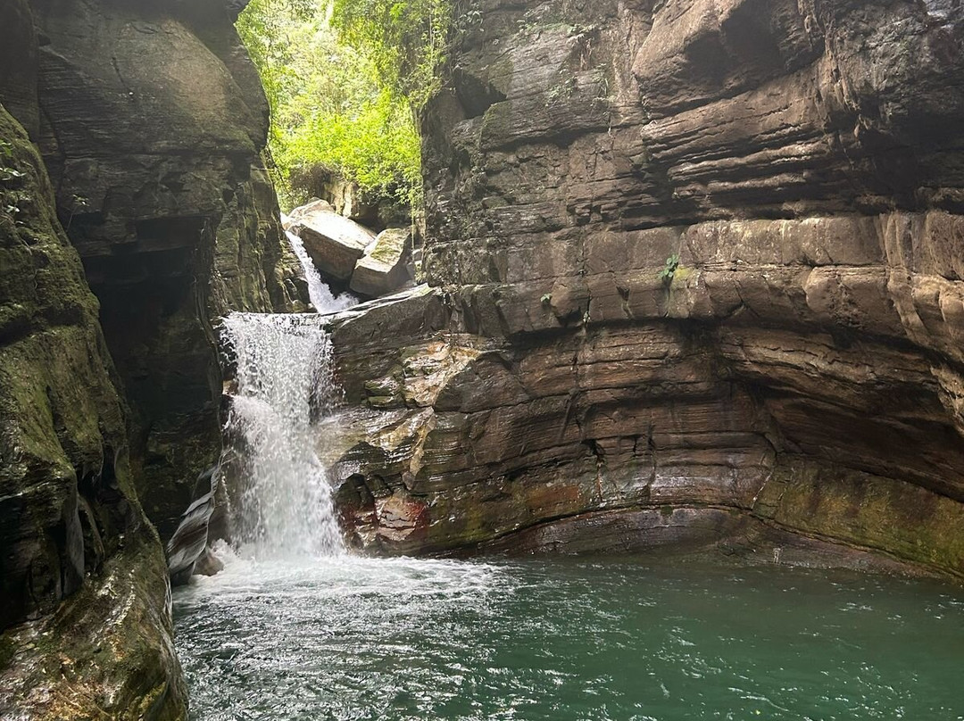 Paraíso De Las Yungas景点图片