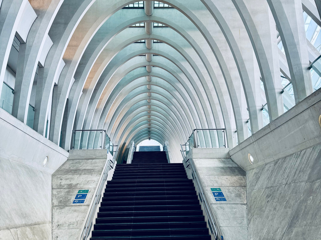Gare de Liege-Guillemins景点图片