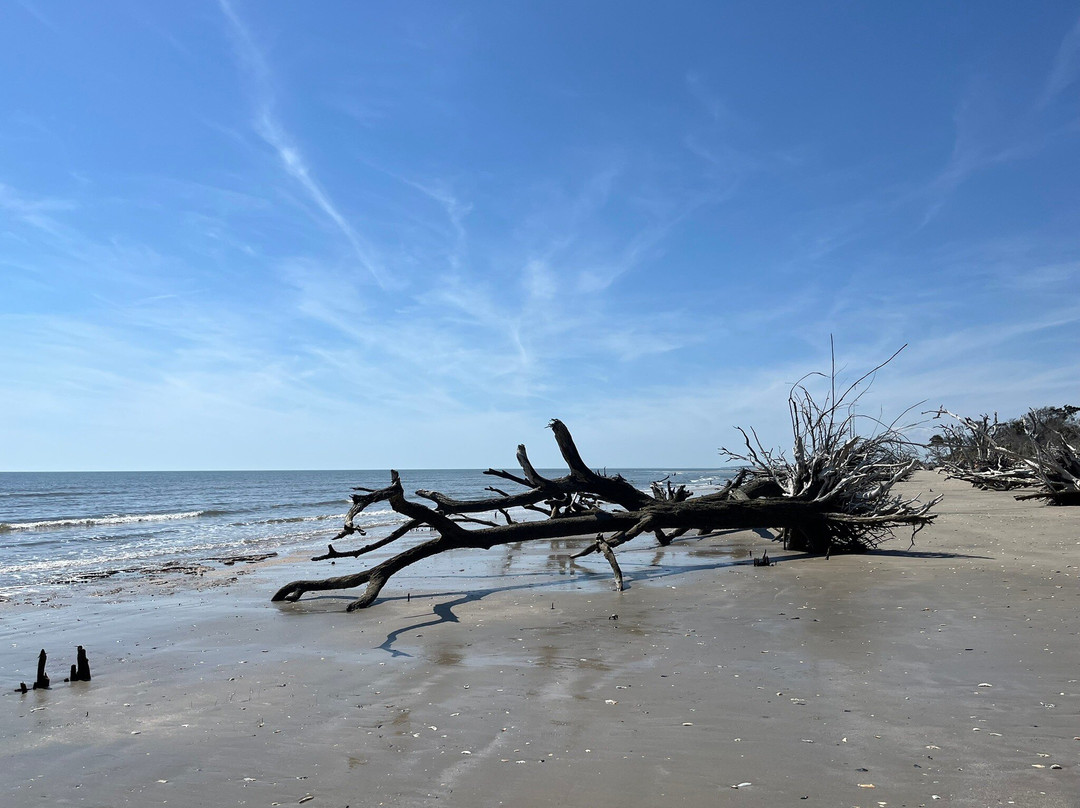 Driftwood Beach景点图片