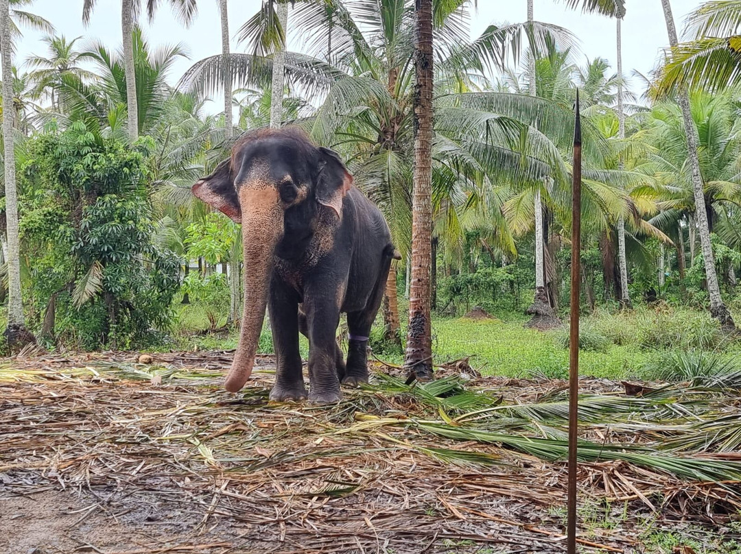 Suduhansa Tours (BoYo)-亚洪加拉必去景点