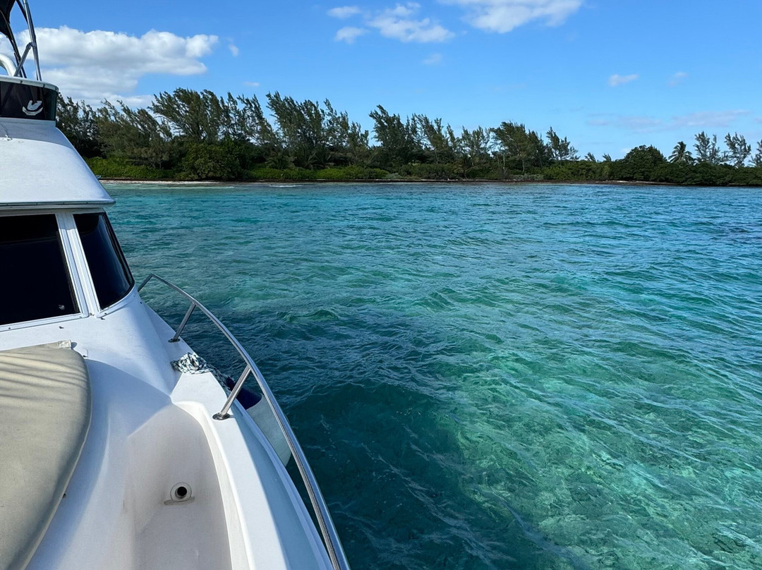 The Yacht Experiences-图伦必去景点