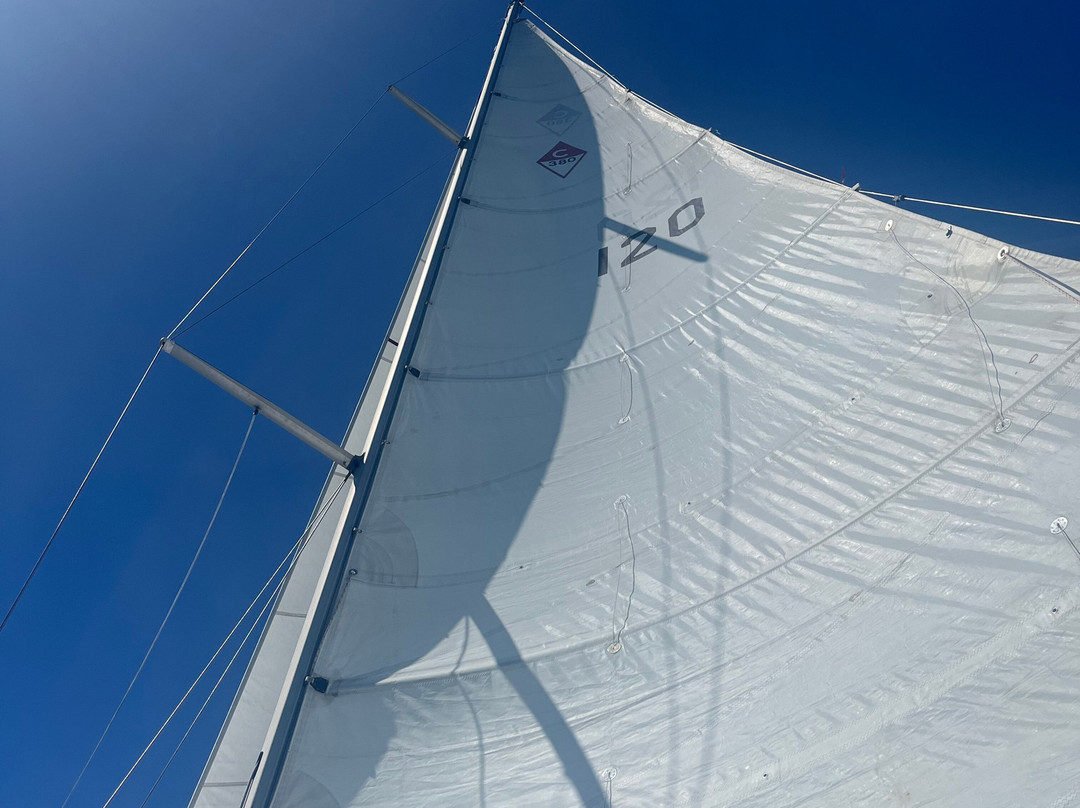 Otter Sailing Adventures-Saint Helena Island必去景点