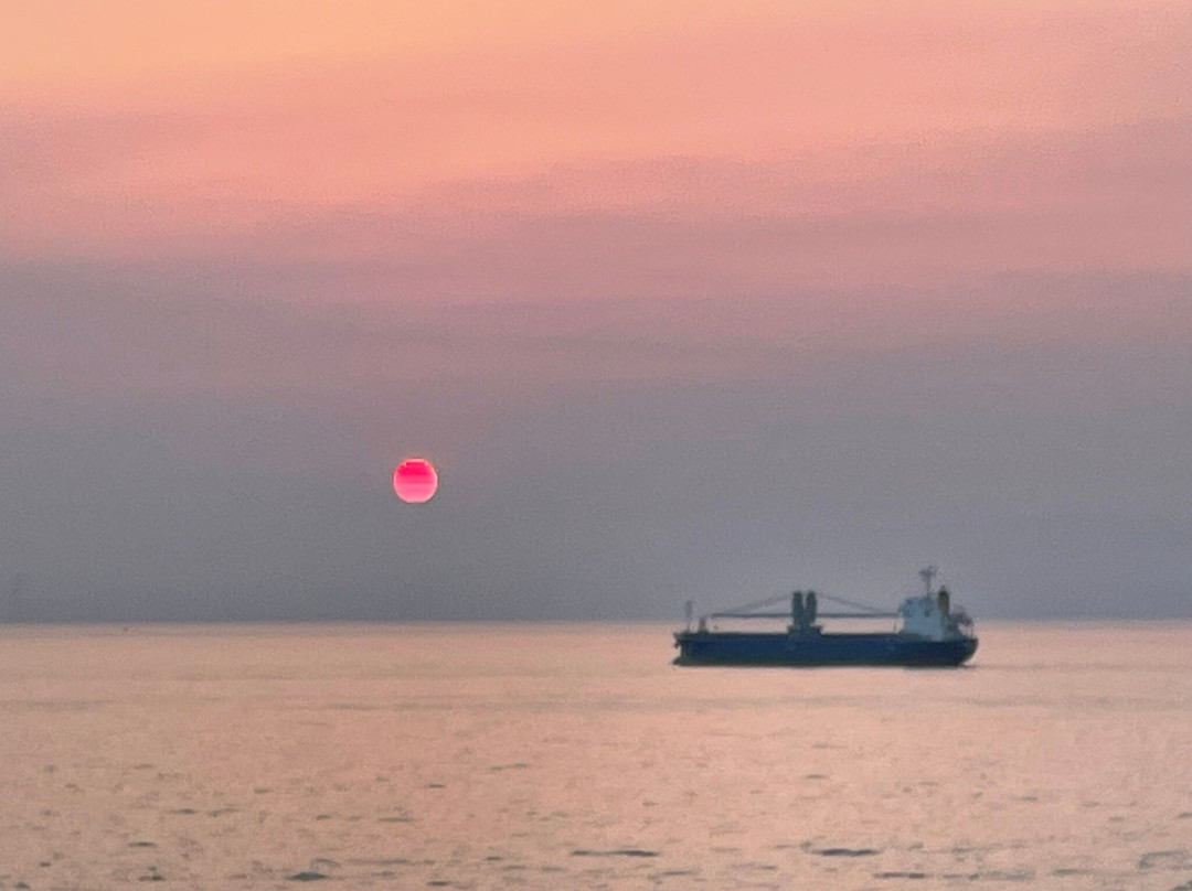 Miyazaki Car Ferry-宫崎市必去景点