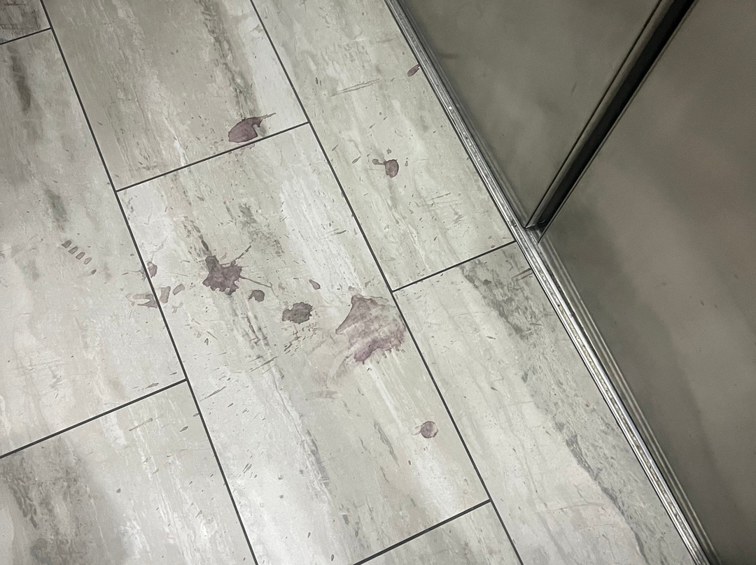 Sheraton Richmond Airport Hotel主图