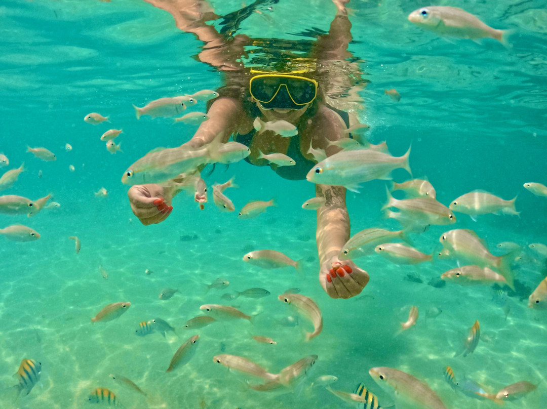 Natal Transfer Executivo-Sao Goncalo Do Amarante必去景点