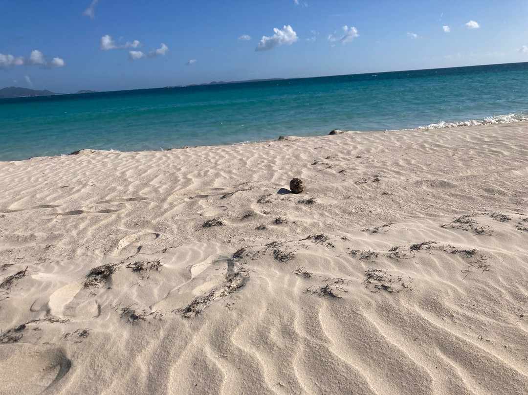 Coconuts Beach Bar And Grill