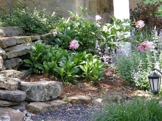 Tranquil Inn & Spa LLC主图