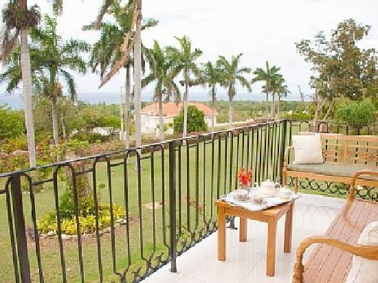 Birds Eye View主图