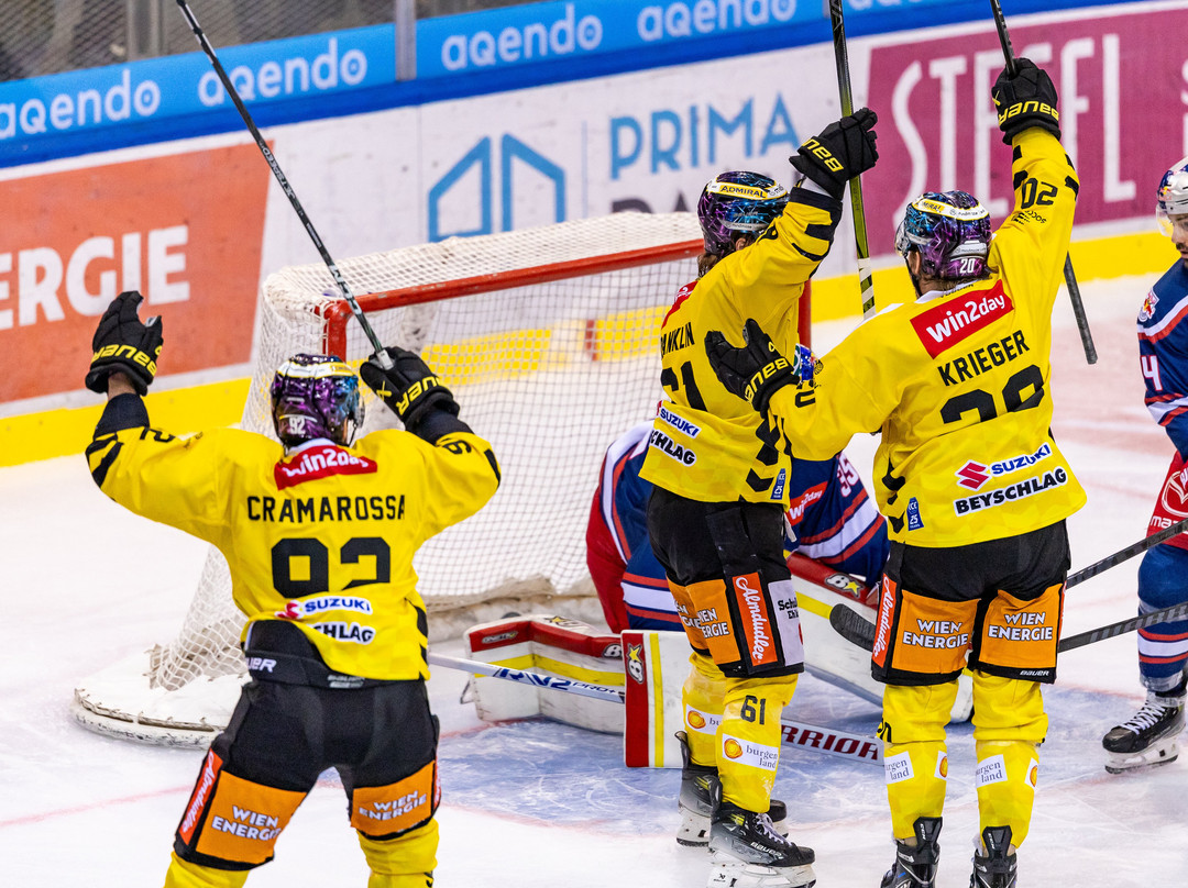 Albert Schultz Eishalle-维也纳必去景点