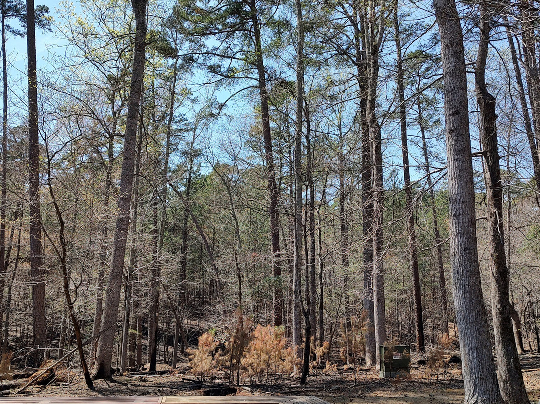 Morrow Mountain State Park景点图片