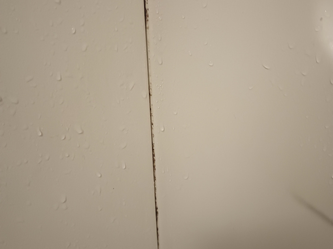 Days Inn By Wyndham Brooksville Dade City主图