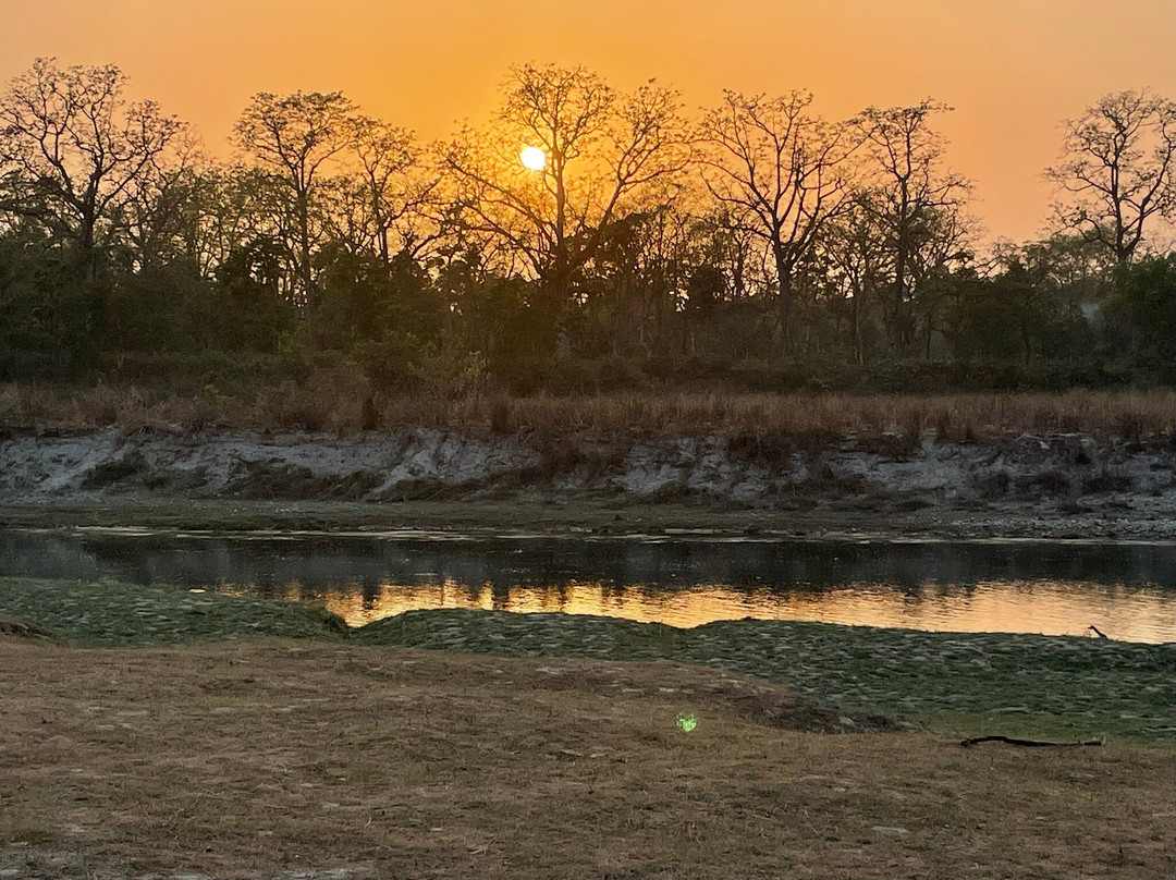 Bardia Gaida Camp