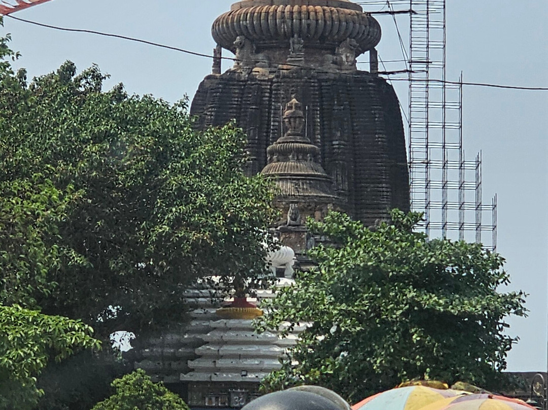 Lingaraja Temple景点图片