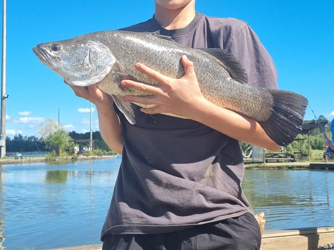 Bli Bli Barra Fishing Park景点图片