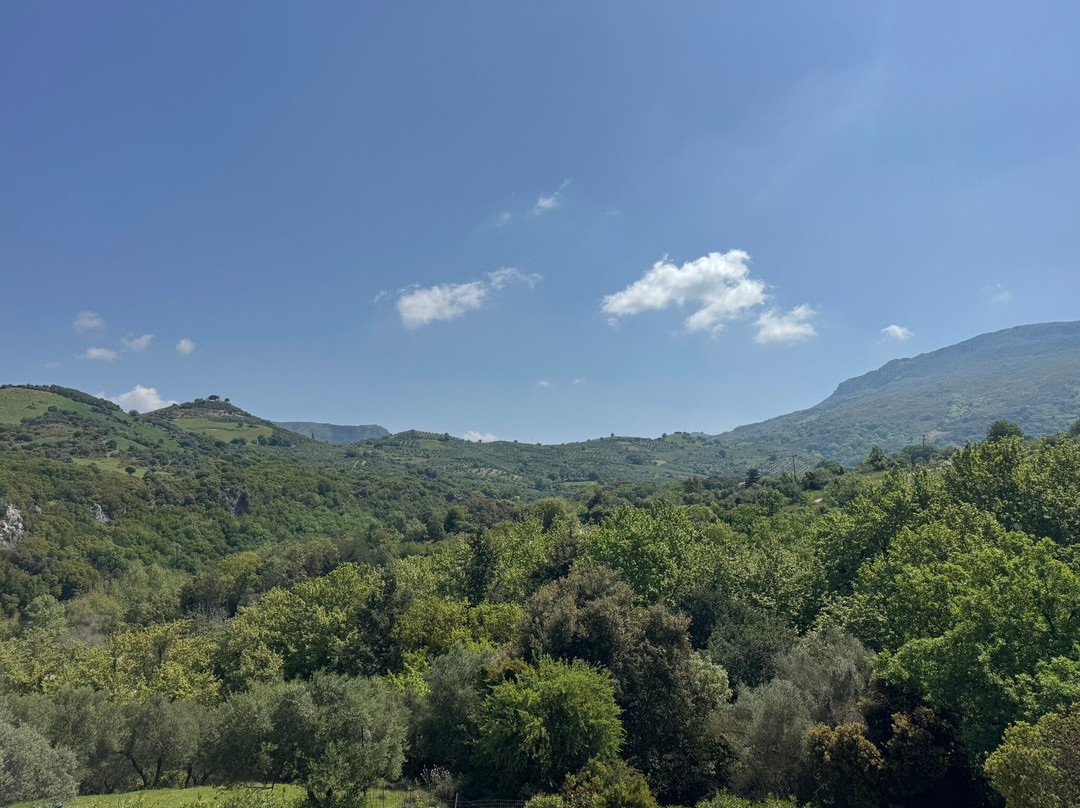 Kourkoulou Winery景点图片