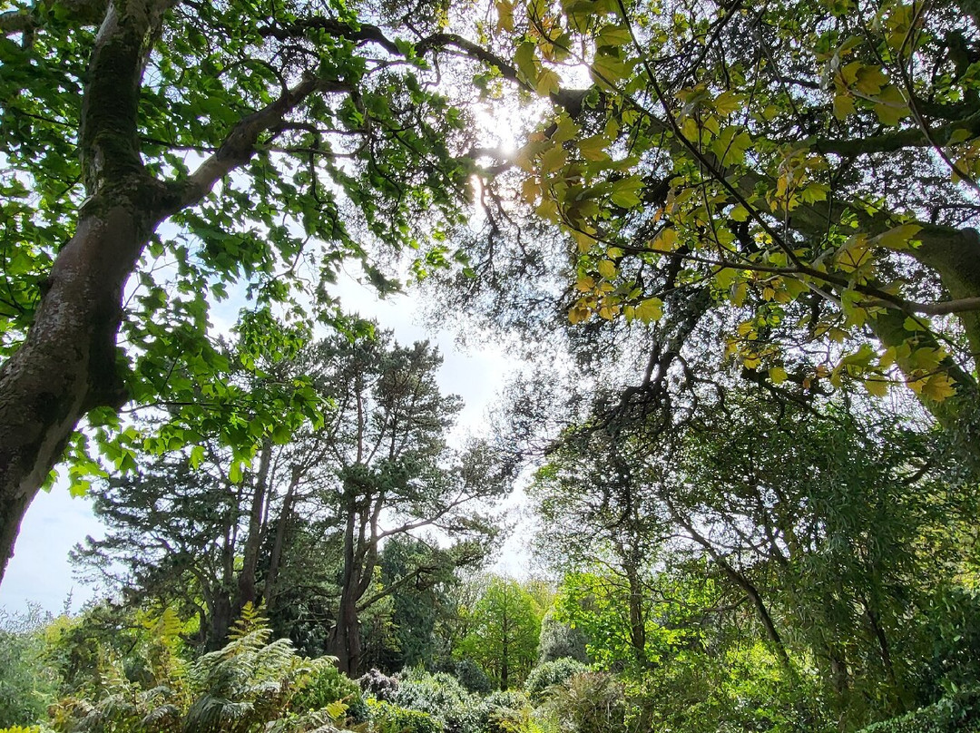 Trewidden Garden-Newlyn必去景点