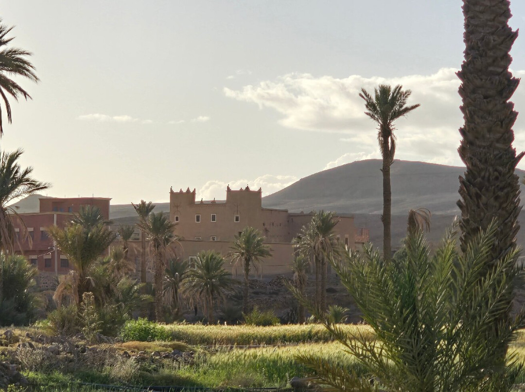 Morocco Exposure-卡萨布兰卡必去景点