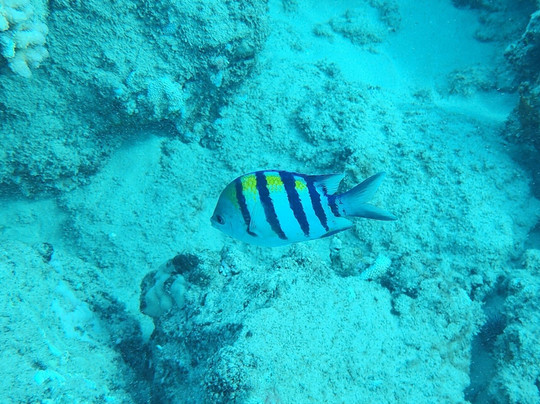 Makai Expeditions-考普雷必去景点