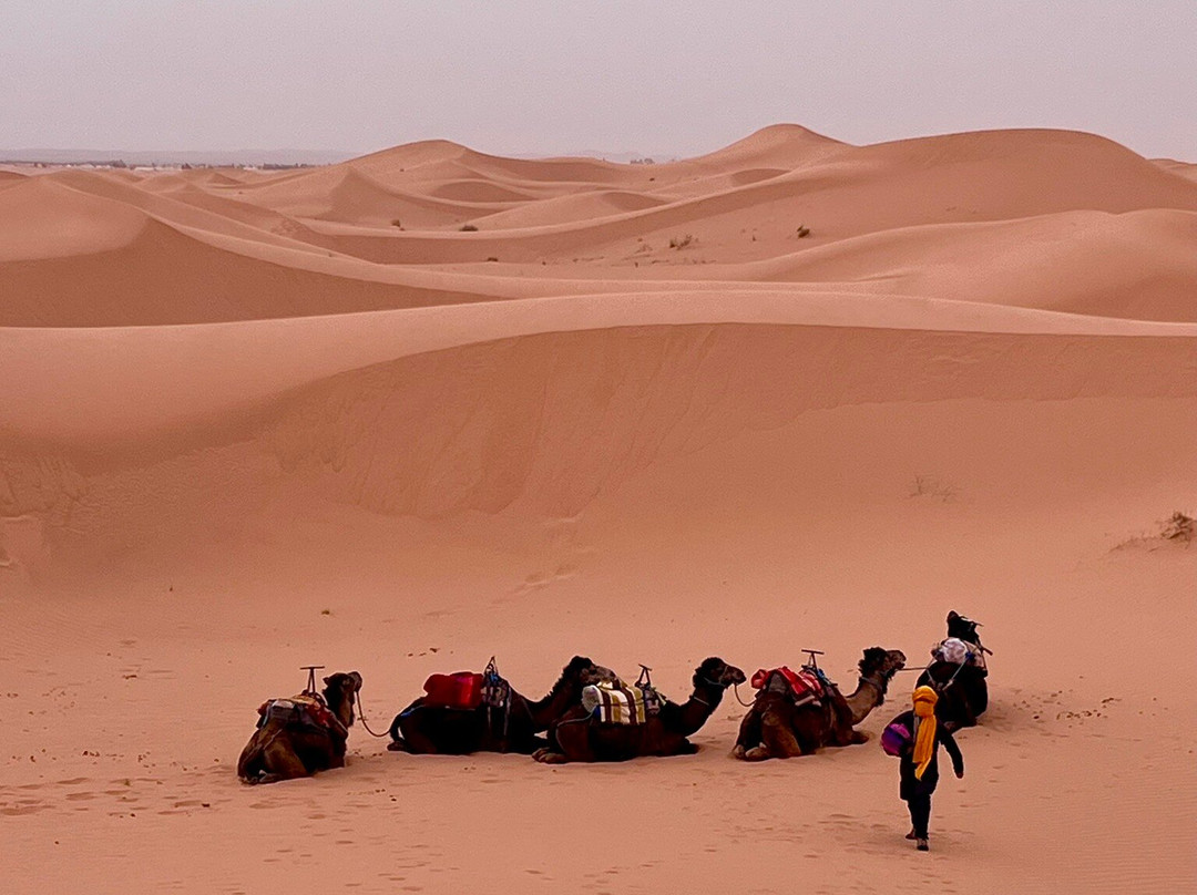 Morocco Culture Tours-马拉喀什必去景点