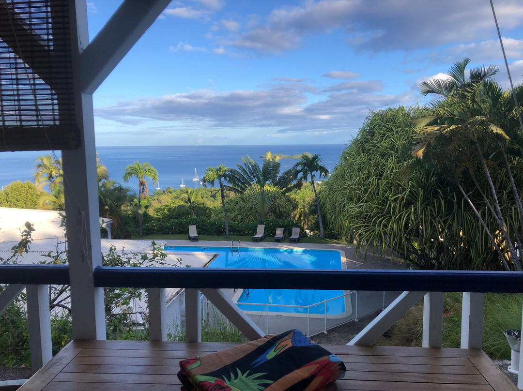 Le Jardin Tropical主图