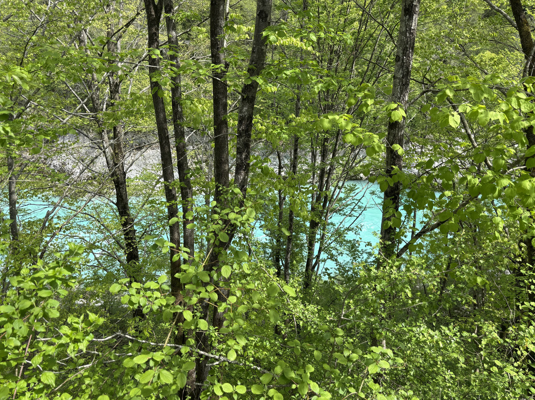 Hike&Bike Slovenia-博希尼湖必去景点