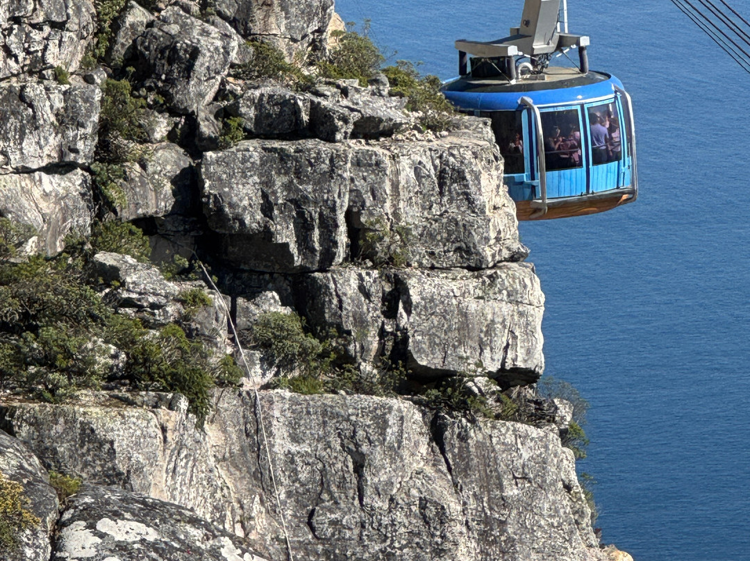 WineFairy-开普敦中心区必去景点