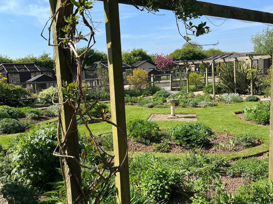 Filey Bird Garden & Animal Park景点图片