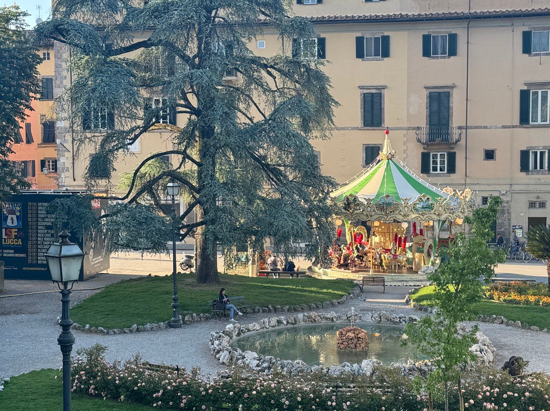 Lucca Tours-卢卡必去景点
