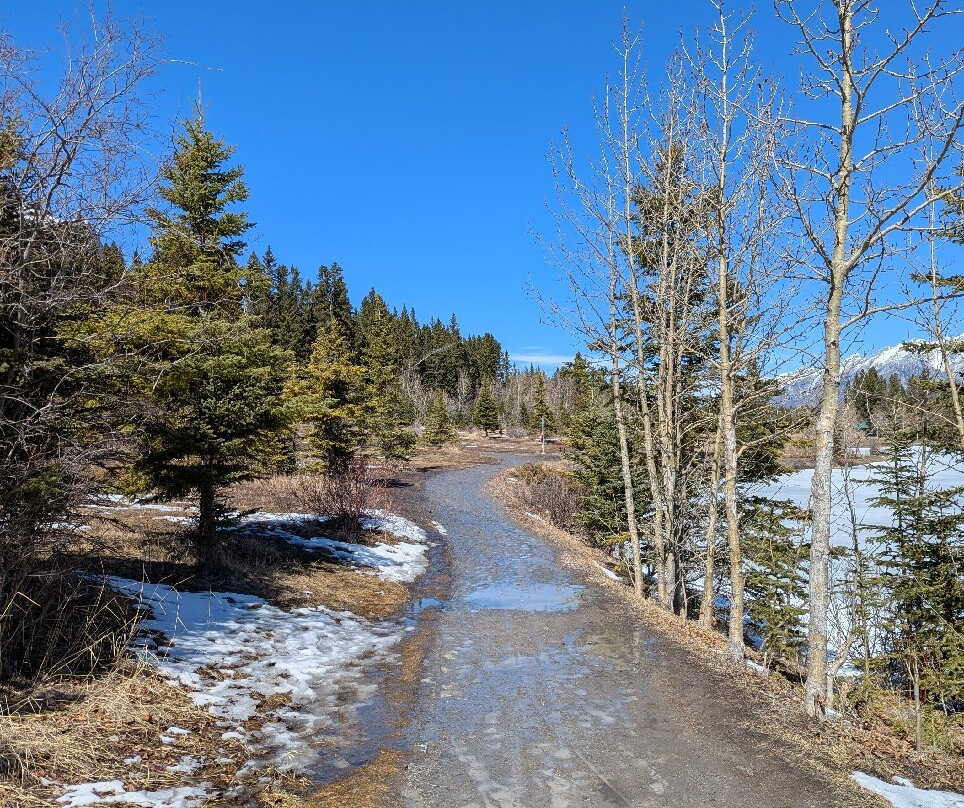 Quarry Lake-坎莫尔必去景点