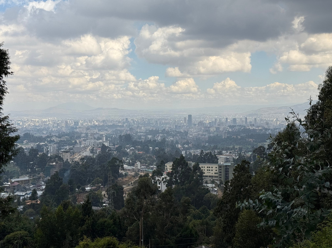 Liyu Ethiopia Tours-亚的斯亚贝巴必去景点