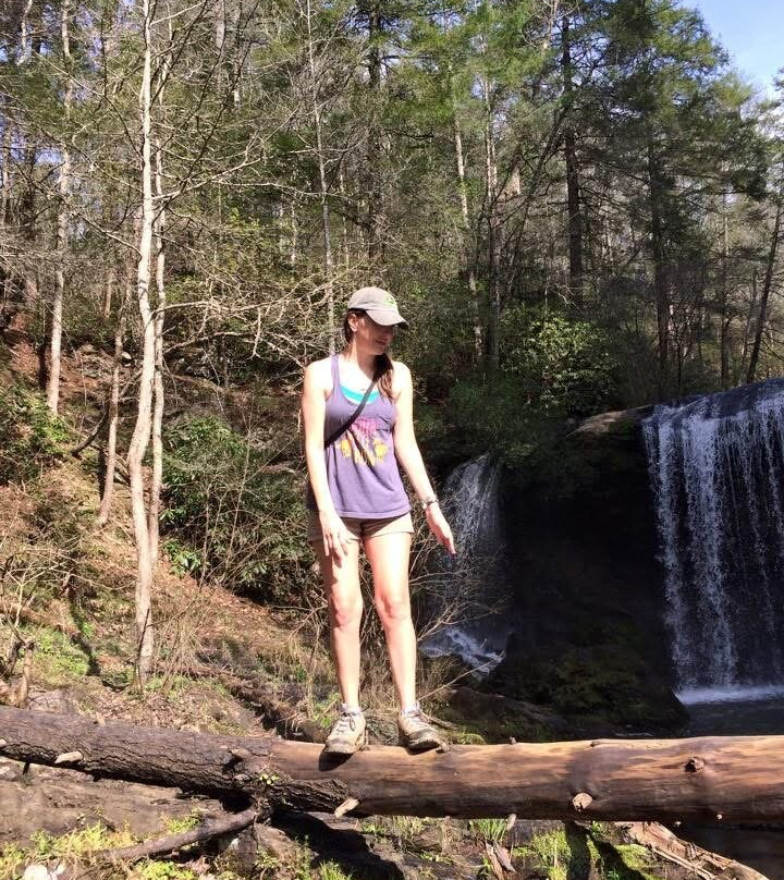 Brasstown Falls景点图片