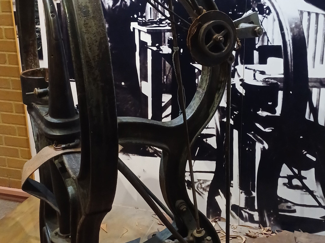 Abington Park Museum-北安普敦必去景点