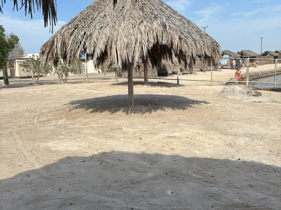 Al Dar Islands-麦纳麦必去景点