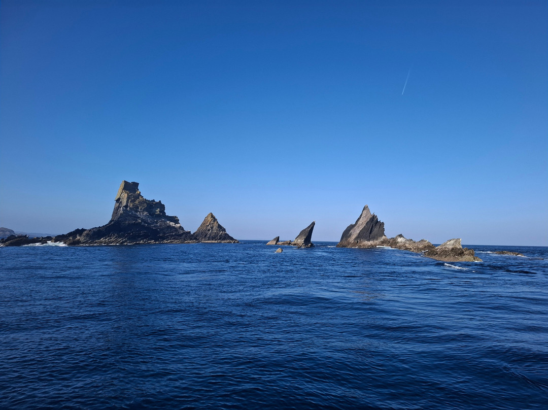 West Cork Ocean Tours-Union Hall必去景点