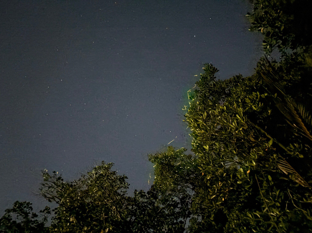 Abatan River-Cortes必去景点