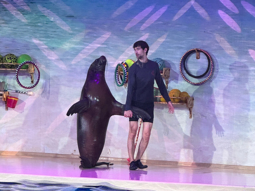 Dolphinarium Atlantida-下诺夫哥罗德必去景点