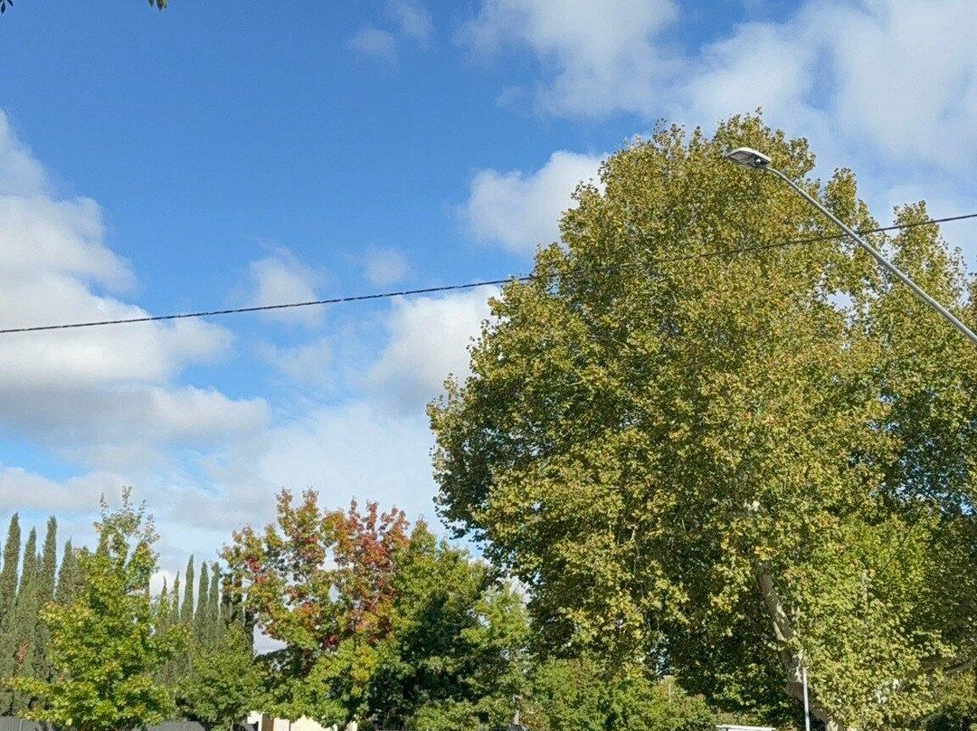 Quest Wagga Wagga主图