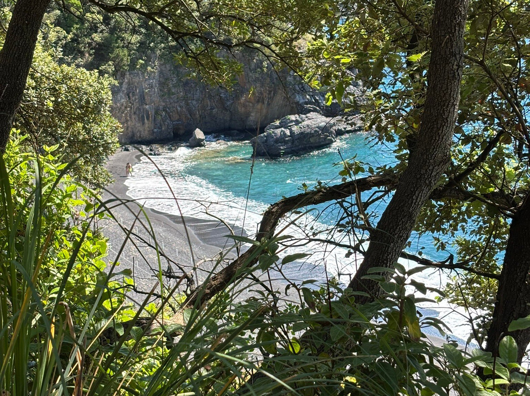 Cala Ficarra-Marina di Maratea必去景点