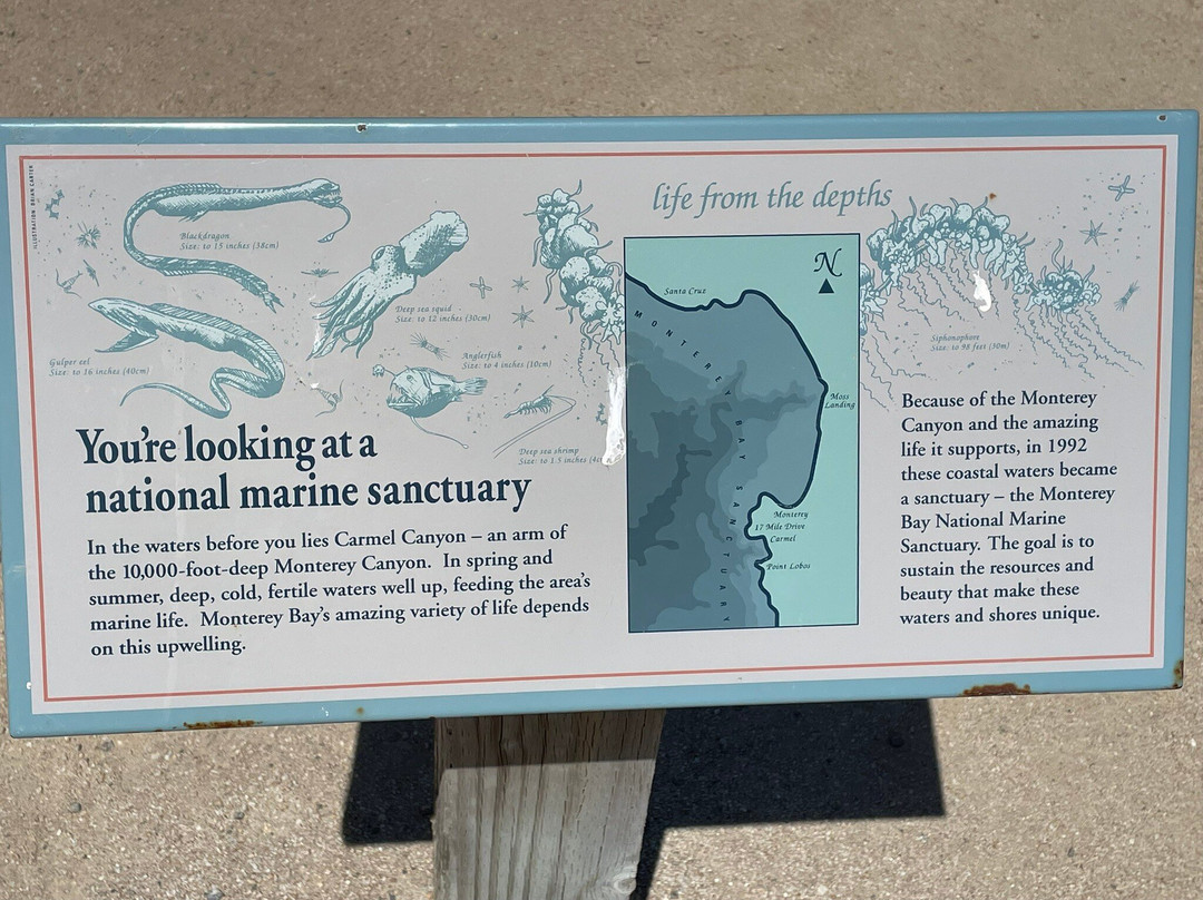 Bird Rock Vista Point-圆石滩必去景点