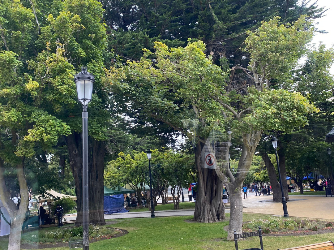 Plaza Muñoz Gamero-蓬塔阿雷纳斯必去景点