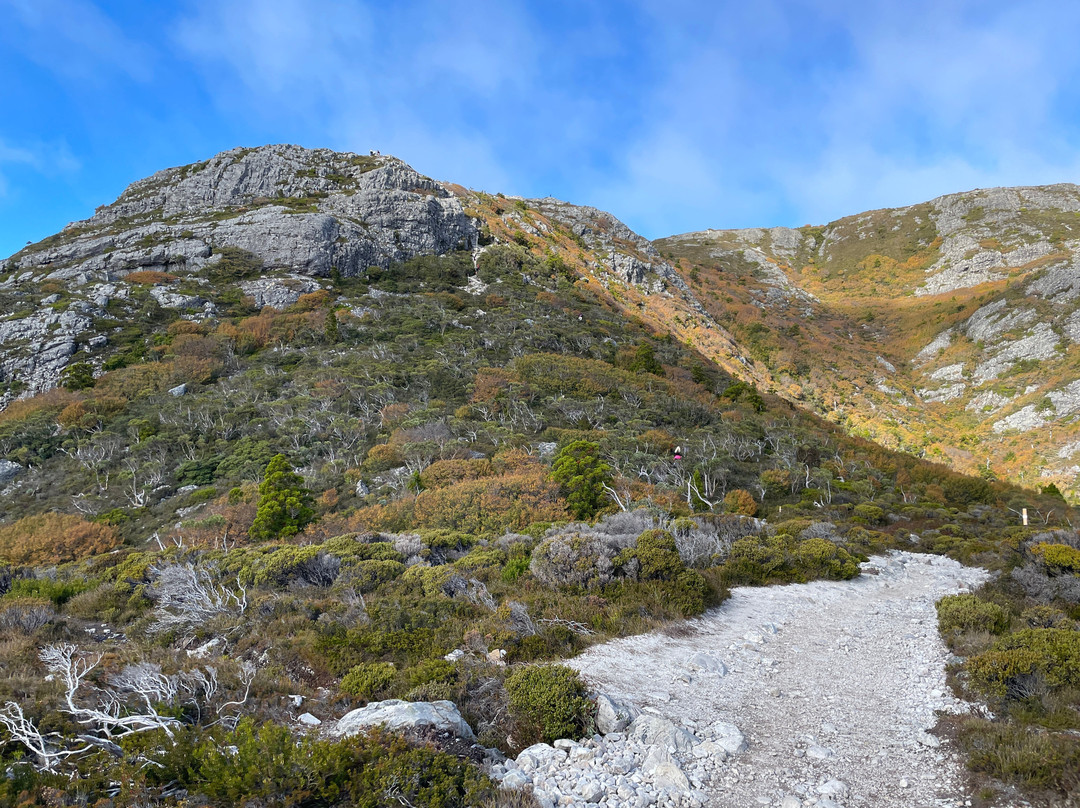 Marion's Lookout Walk景点图片