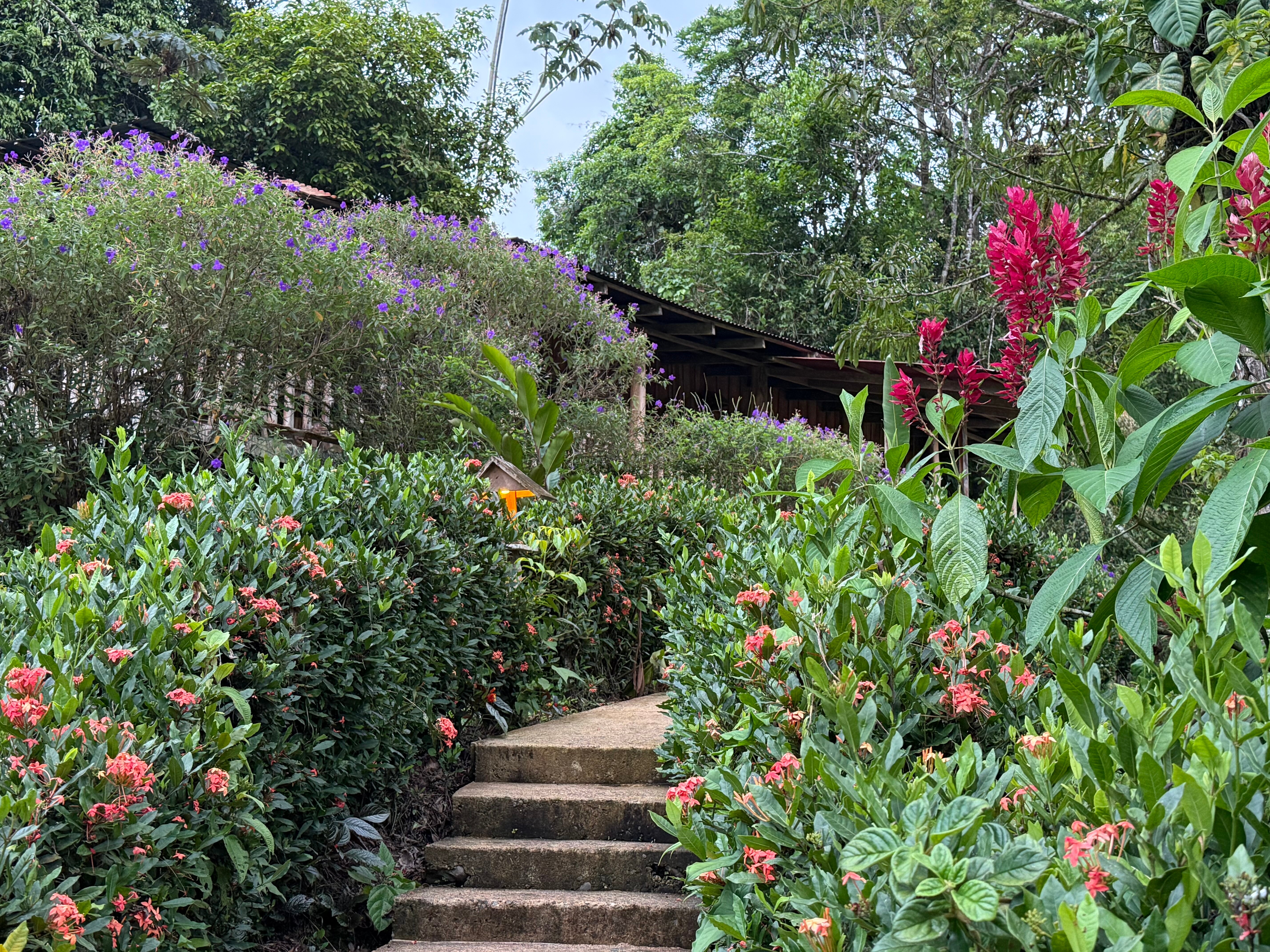 La Carolina Lodge-官方