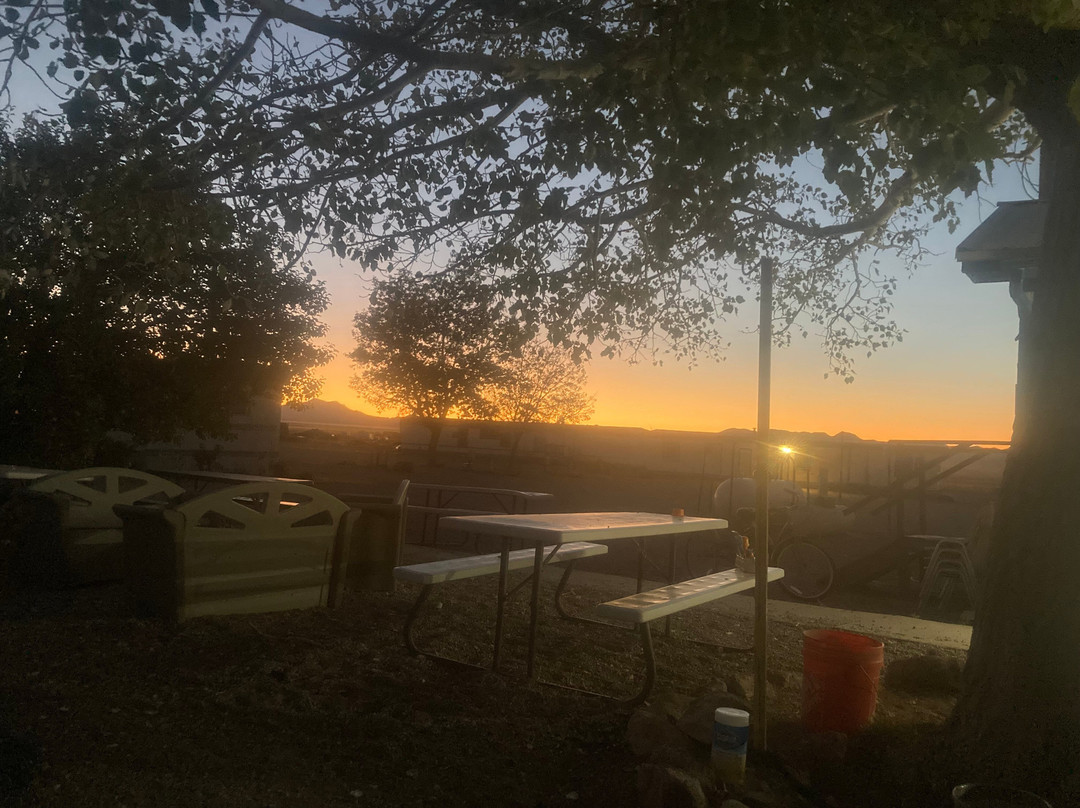 Little A'Le'Inn主图