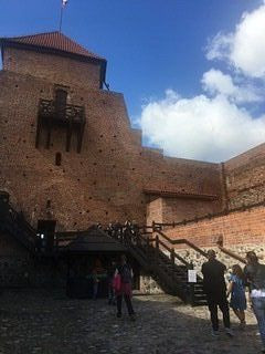 Castle in Liw景点图片