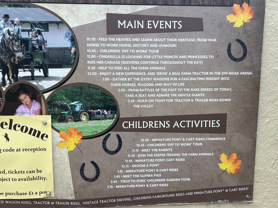 Dorset Heavy Horse Farm Park景点图片