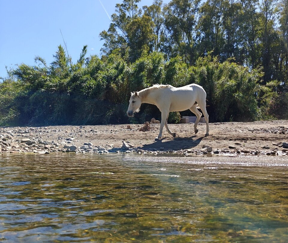 The Dragonfly-Coin必去景点